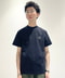 thumbail5