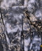 thumbail10
