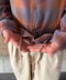 thumbail8