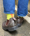 thumbail7