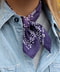 thumbail10