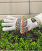 thumbail10