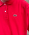 thumbail10