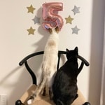 グルカサンダル デビュー！