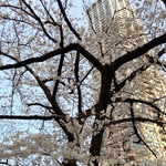 GRAMICCI別注サロペット！