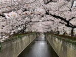 えびログvol.28【花も団子も欲張りたい人の話】