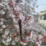 【THANKFUL CAMPAIGN】オトクな今買うべきもの！