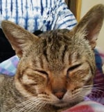 ＜ Bill Wall Leather ＞ 新規ブレスレットのご案内