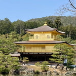 新作！カモフラキャディバッグご紹介