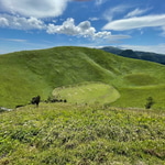 話題のシューズが予約開始！