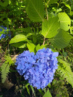 【お花シリーズコーデ特集Vol.3】