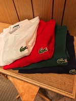 18日は父の日！LACOSTE、FRED PERRYのポロシャツはいかがでしょうか？