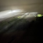 自分のフィルターで