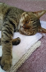 ＜ Bill Wall Leather ＞ハートシリーズの巻