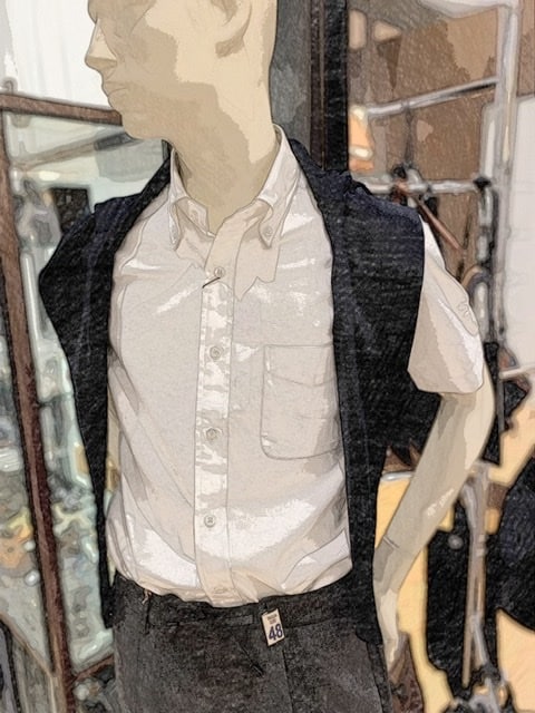 普通のシャツだが役に立つ＜ショートスリーブシャツⅡ＞