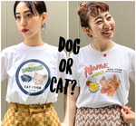 DOG or CAT ？