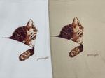 【こちらいかがでしょうか】　VOL.33 猫好きの方は必見⁉