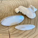 ＂びわ湖真珠＂ってご存知ですか？