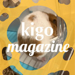 【kigo magazine】〜動物編〜
