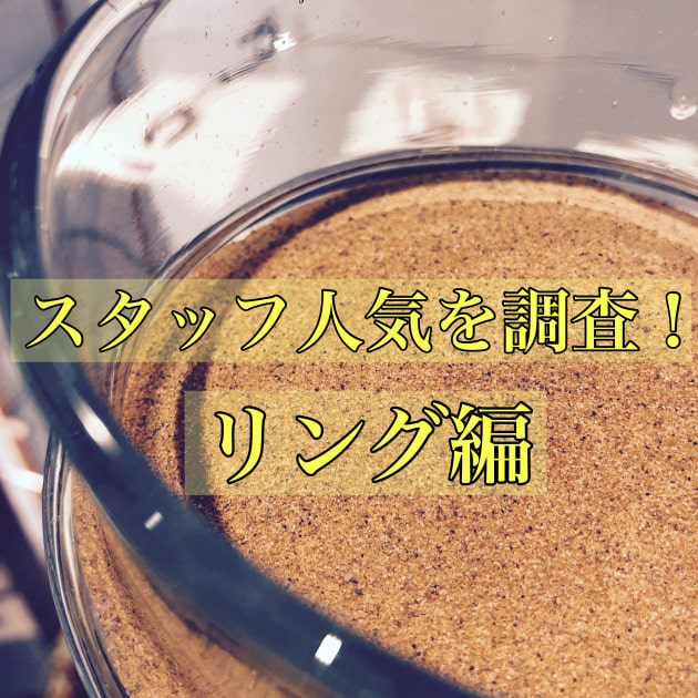 スタッフのチョイスを拝見。