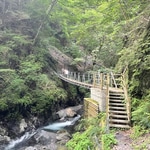 マンモス 〜 Marmot × BEAMS 〜