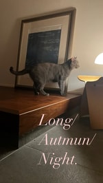 秋の夜長にVol.1ーBleu/Blanc/Rougeー＜Se'fr＞についてー