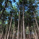 マルチカラー♡ 〜 ARC'TERYX × BEAMS 〜