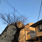 かまし系