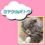 予約がお得！！！！