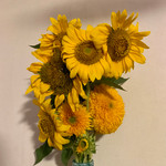 ナツハのリアルバイ Vol.1ʕ•ᴥ•ʔ✌︎