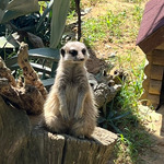 ずーろぐ No.34[ずーの今期欲しいスウェット3選]