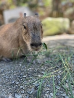 ずーろぐ No.35[素敵なダウンのお話]