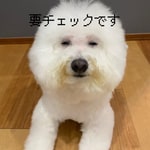 TATRASあと少し！！さらにお得に？？