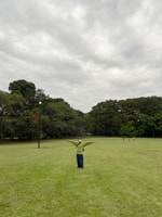 目指すは用意周到