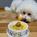 patagoniaメンズの沢山着てみました〜