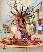 Weekend highlight!!!今週末は六本木へ。