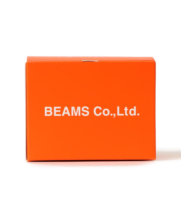 小さくてパワフル！｜ビームス 広島｜BEAMS