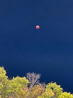 ずーろぐ No.44[腕時計(NAVAL WATCH)のお話(予約アイテム)]