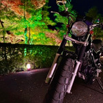 休日ブログ〜待ちに待ったバイクを添えて〜