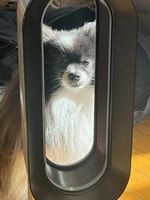 ずーろぐ No.49[大好評◎中綿ジャケットのお話]