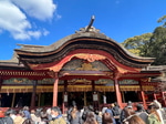 久しぶりの飛行機に乗って楽しかったおはなし！！