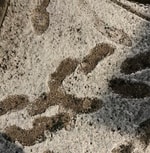 ゆーてる間に春なんです。