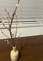 【+15%ポイント還元‼︎】《FRED PERRY》から春の訪れ〜♪