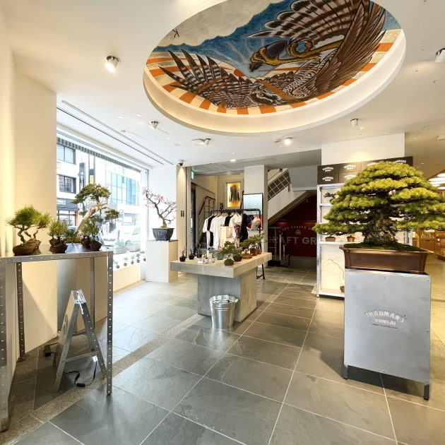 盆栽初めてみませんか？」TRADMAN'S BONSAI POP UP SHOP