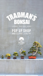 TRADMAN'S BONSAI POP UP SHOP
