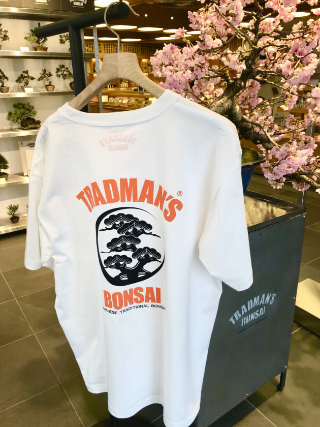 TRADMAN'S BONSAI POP UP SHOP｜ビームス ジャパン｜BEAMS