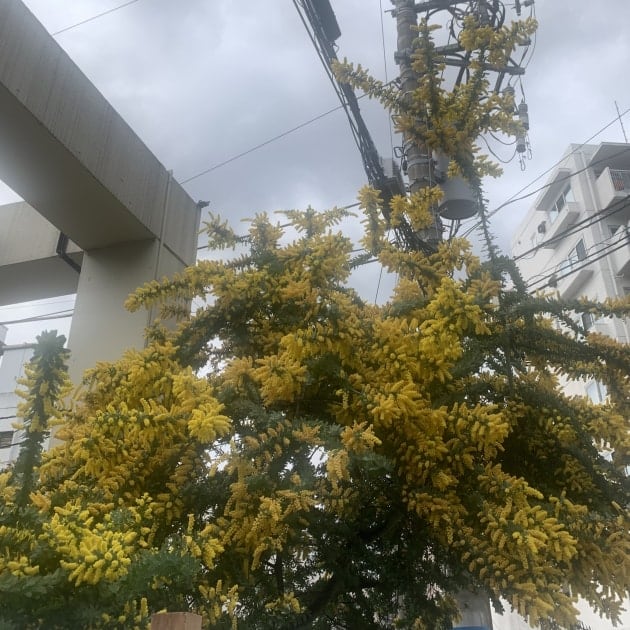 3月15日 3月15日