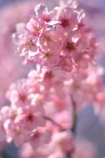 【今期のSLOANE別注アイテムご紹介】