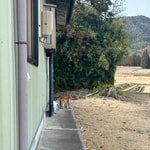 ＊ベストなベスト＊