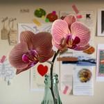 ずっと着れる！間違いなし春物アウター♪